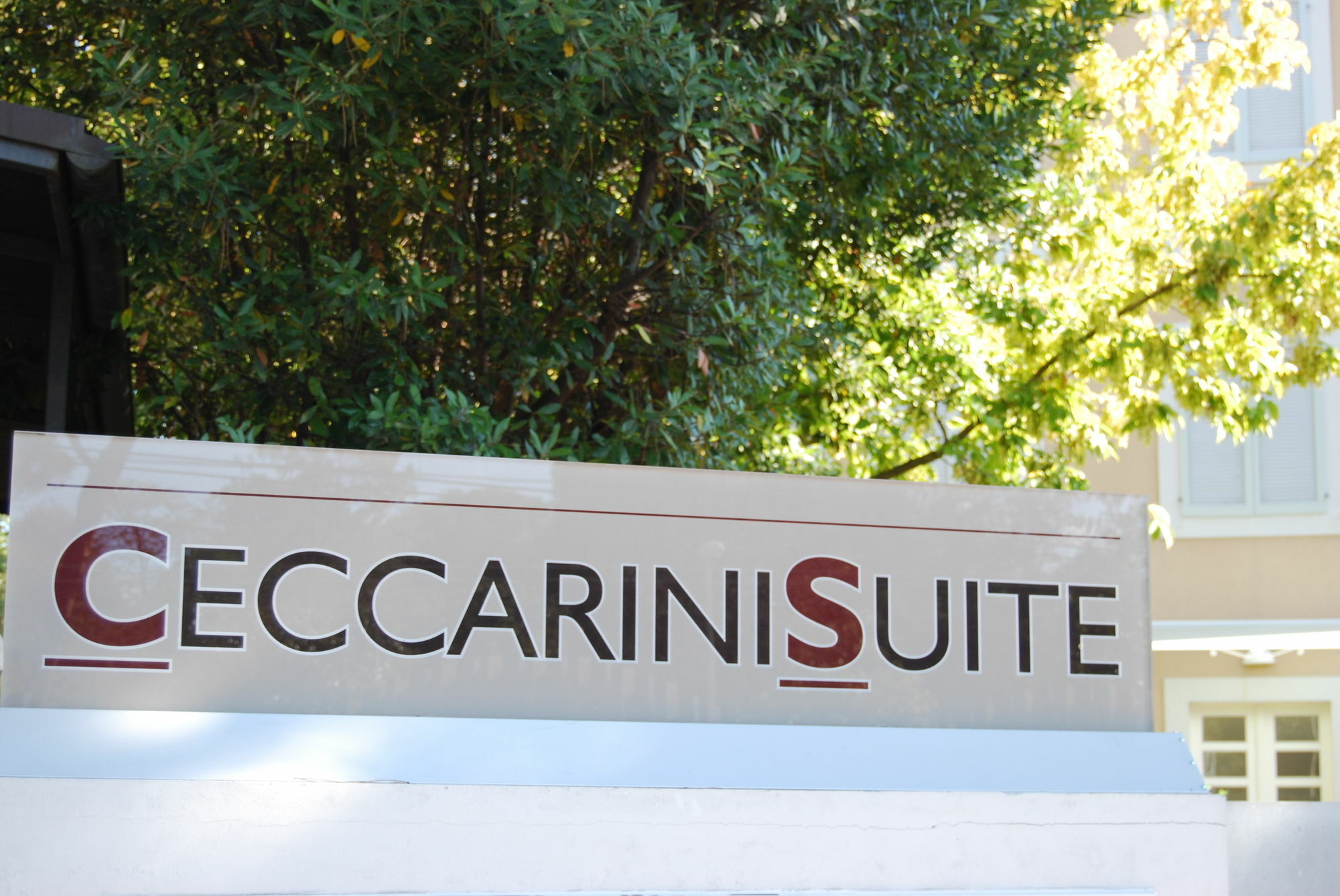 Ceccarini Suite Riccione Exteriör bild