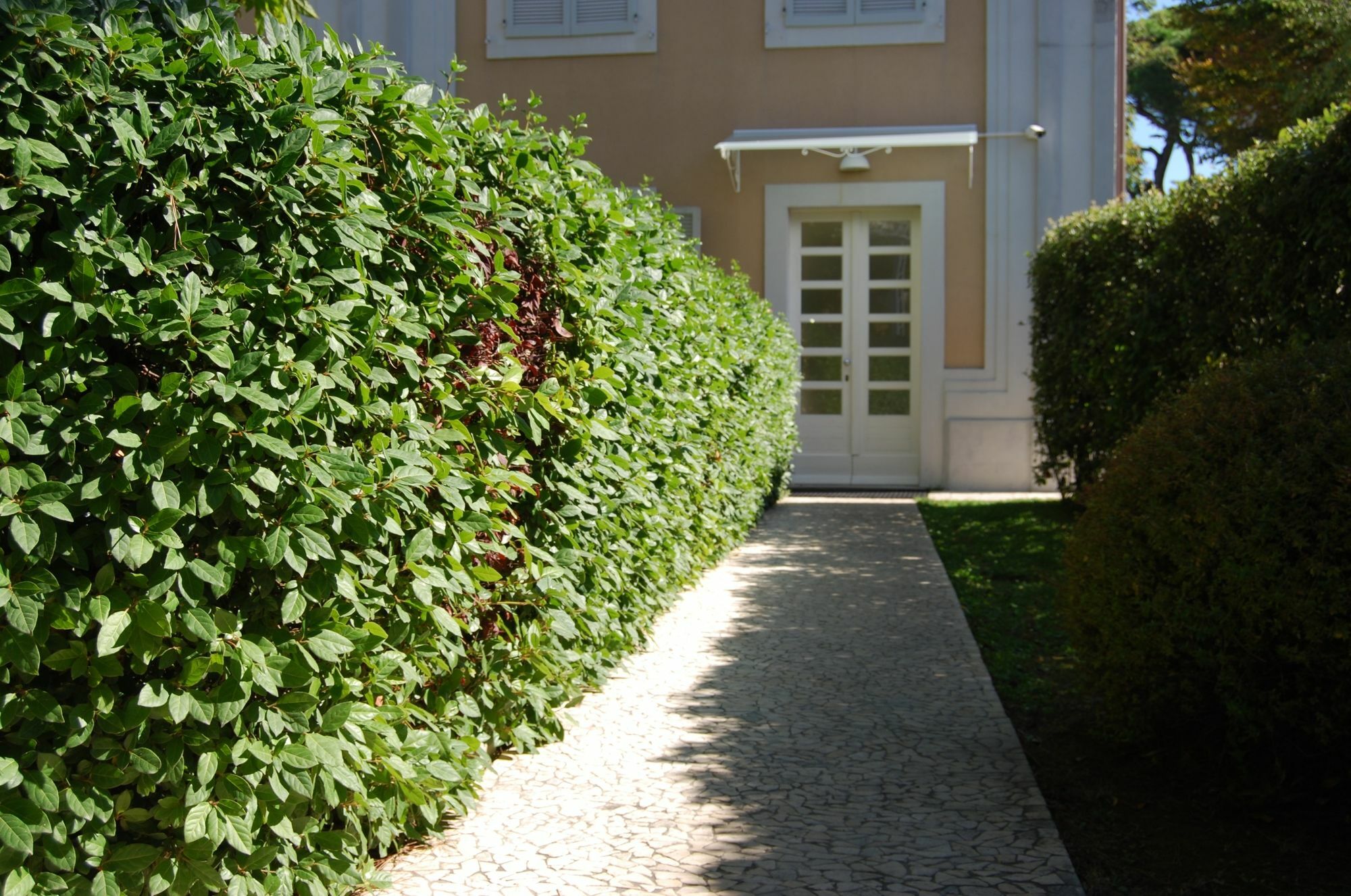 Ceccarini Suite Riccione Exteriör bild