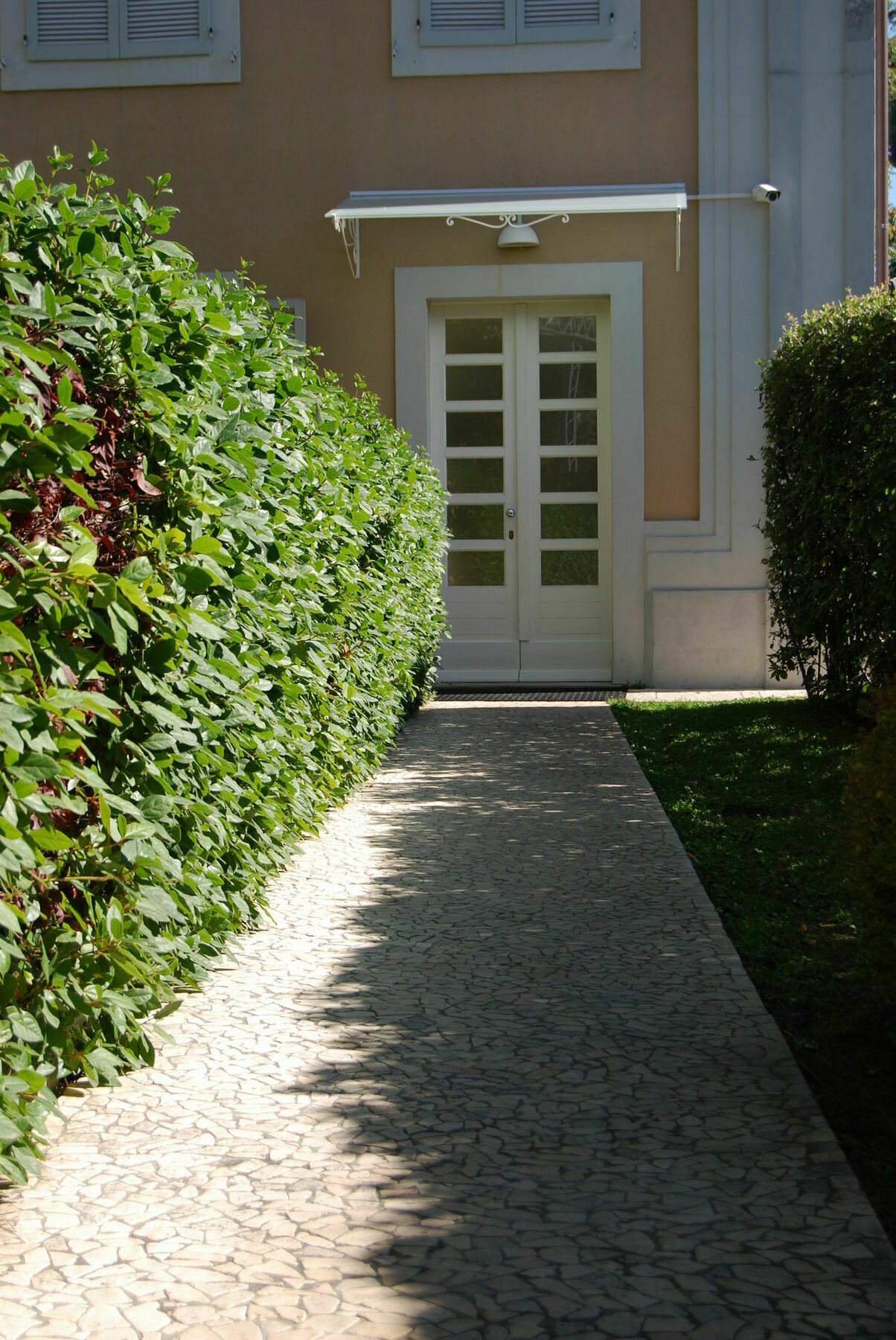 Ceccarini Suite Riccione Exteriör bild